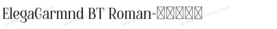 ElegaGarmnd BT Roman字体转换